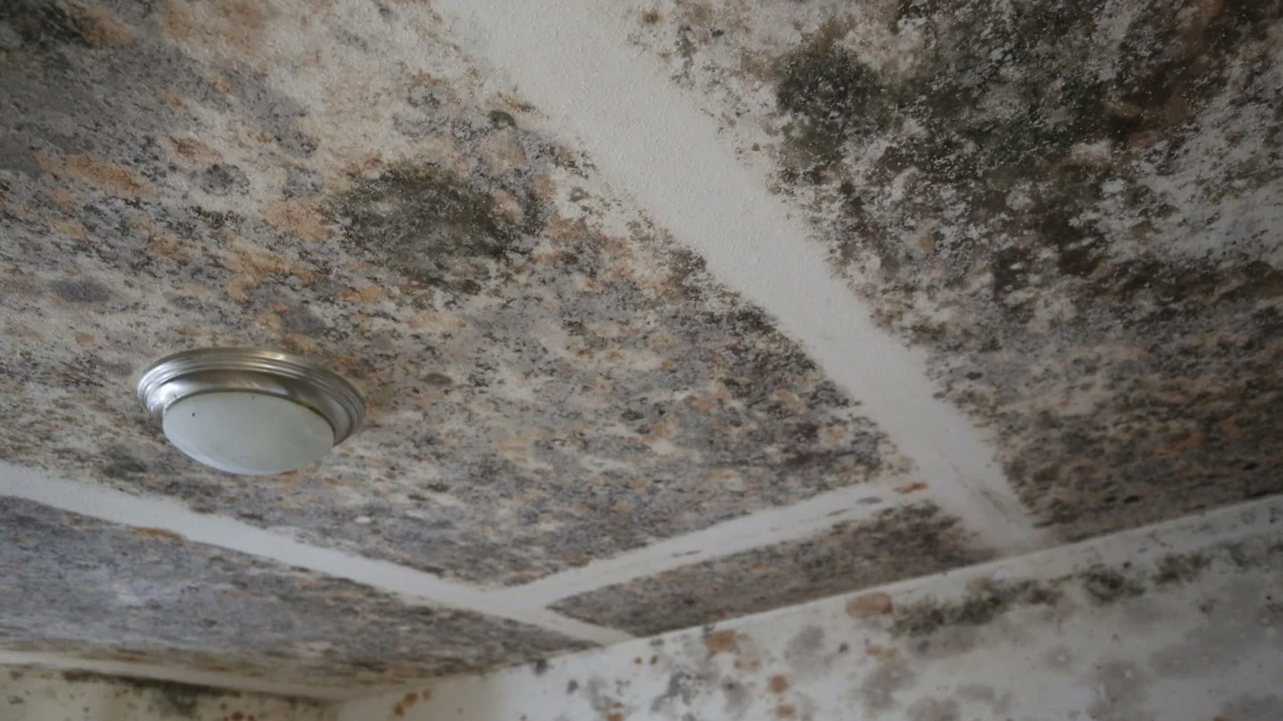 Mold remediation team working inside a contained room with air-control equipment