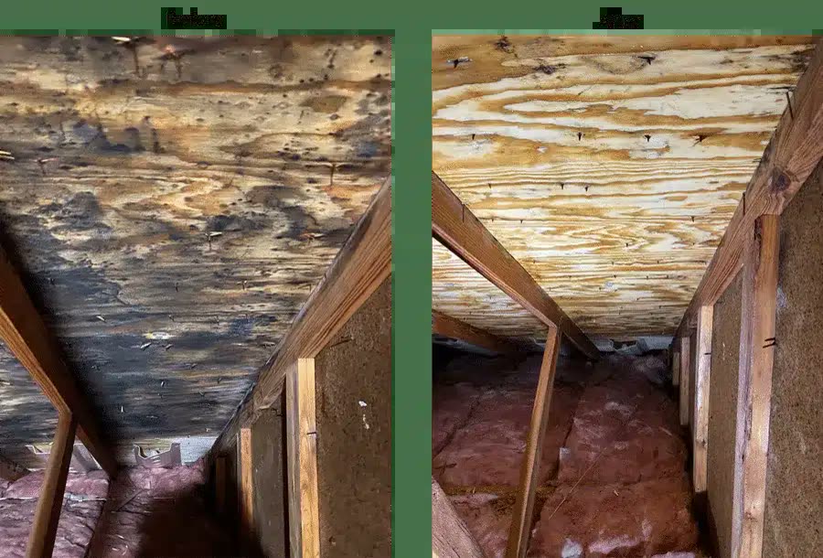 Thermal moisture scan inside a residential room